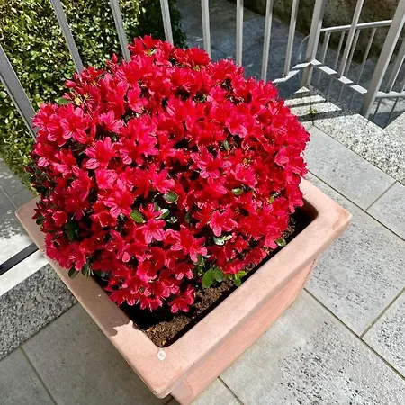 شقة فندقية Marenca 4*